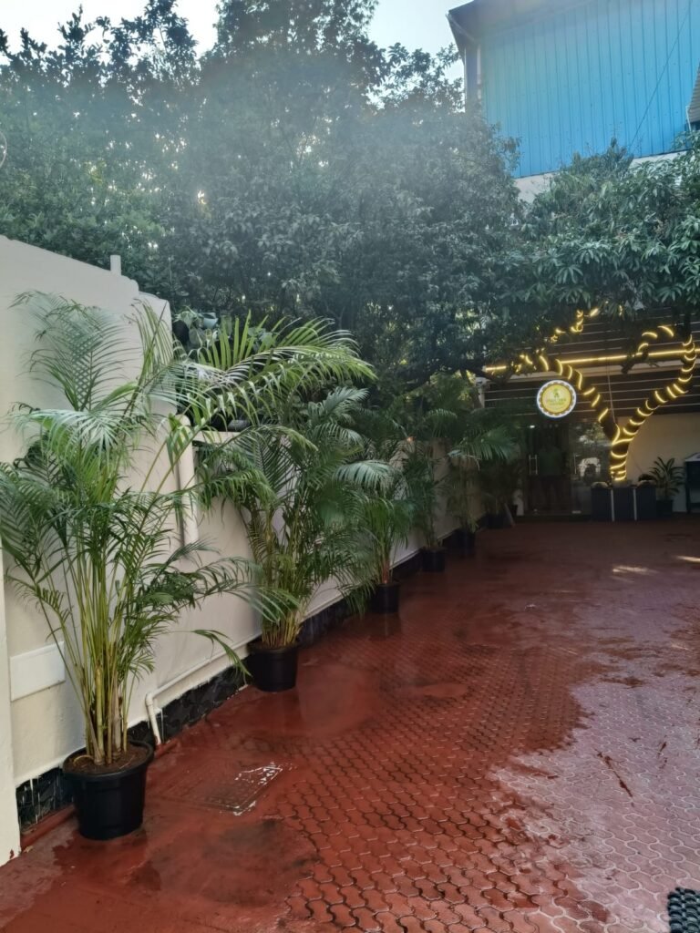 Home whatsapp image 2026 02 05 at 10.27.27 pm