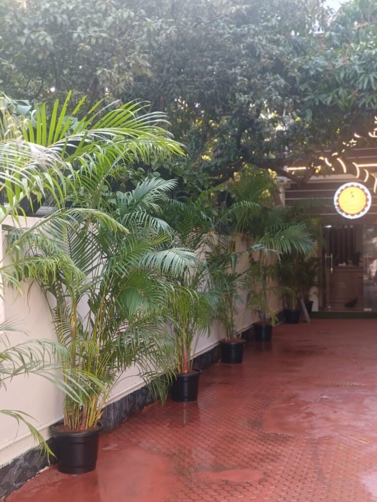 Home whatsapp image 2026 02 05 at 10.27.28 pm (1)